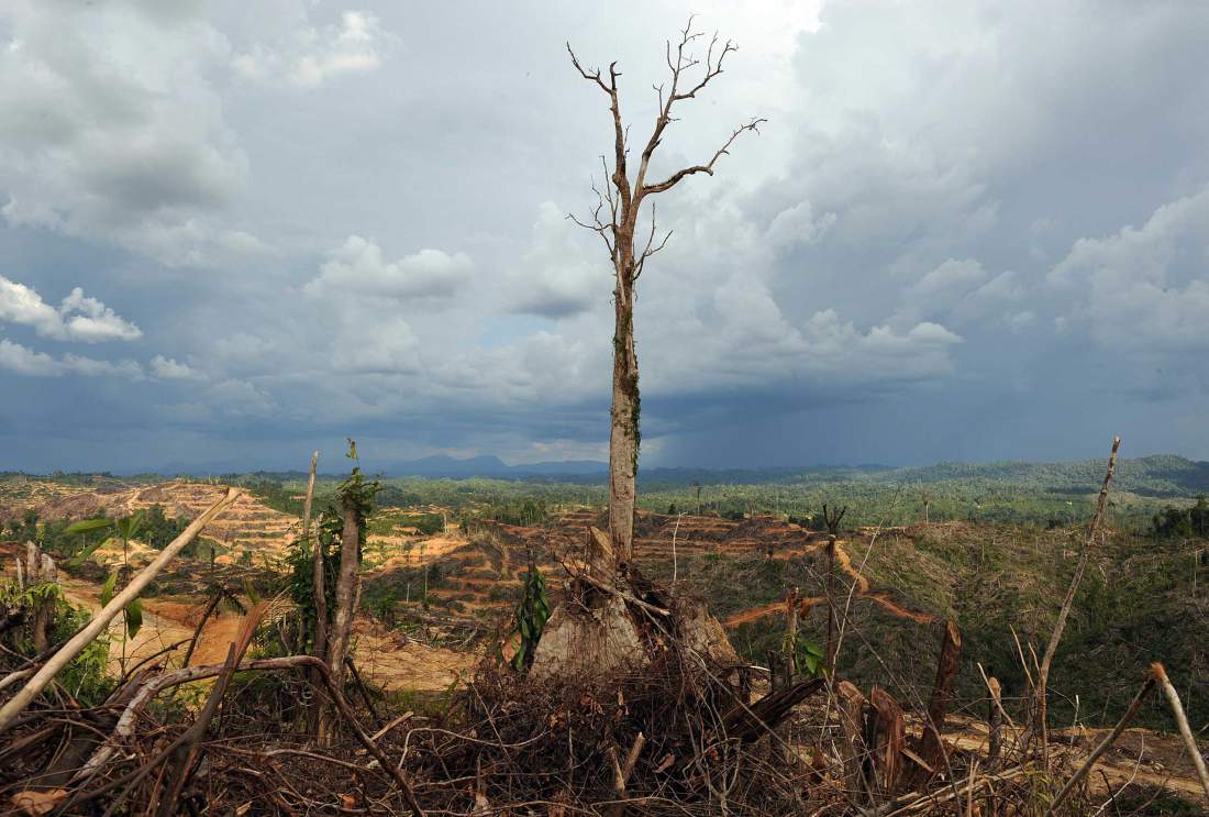 TO GO WITH Malaysia-environment-rights-Penan BY SARAH STEWART Foto © Saeed Khan/AFP/Getty Images